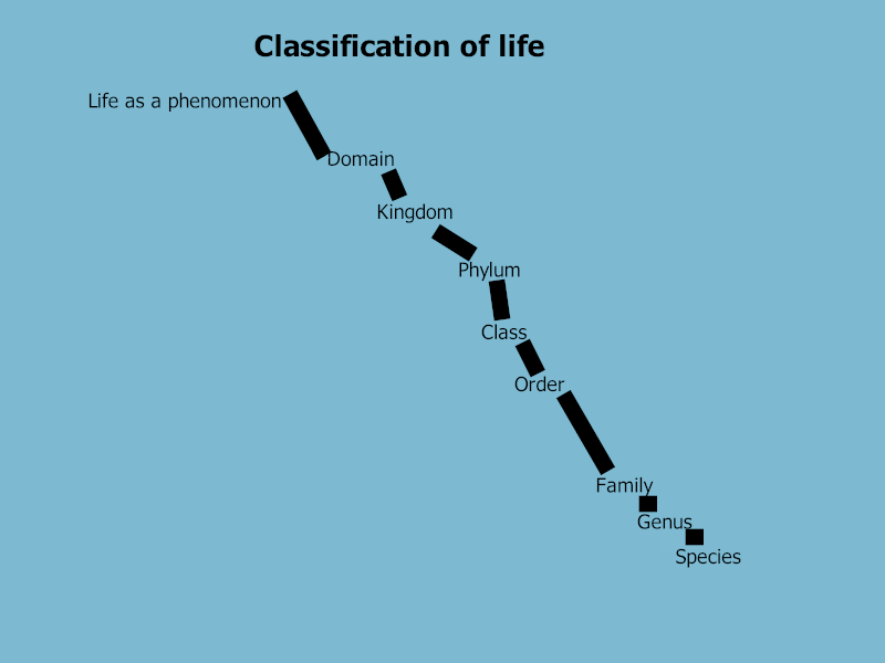 Tree of life. Orde des levens. Van boven het breedst, naar de meest specifieke categorie beneden en het smalst.