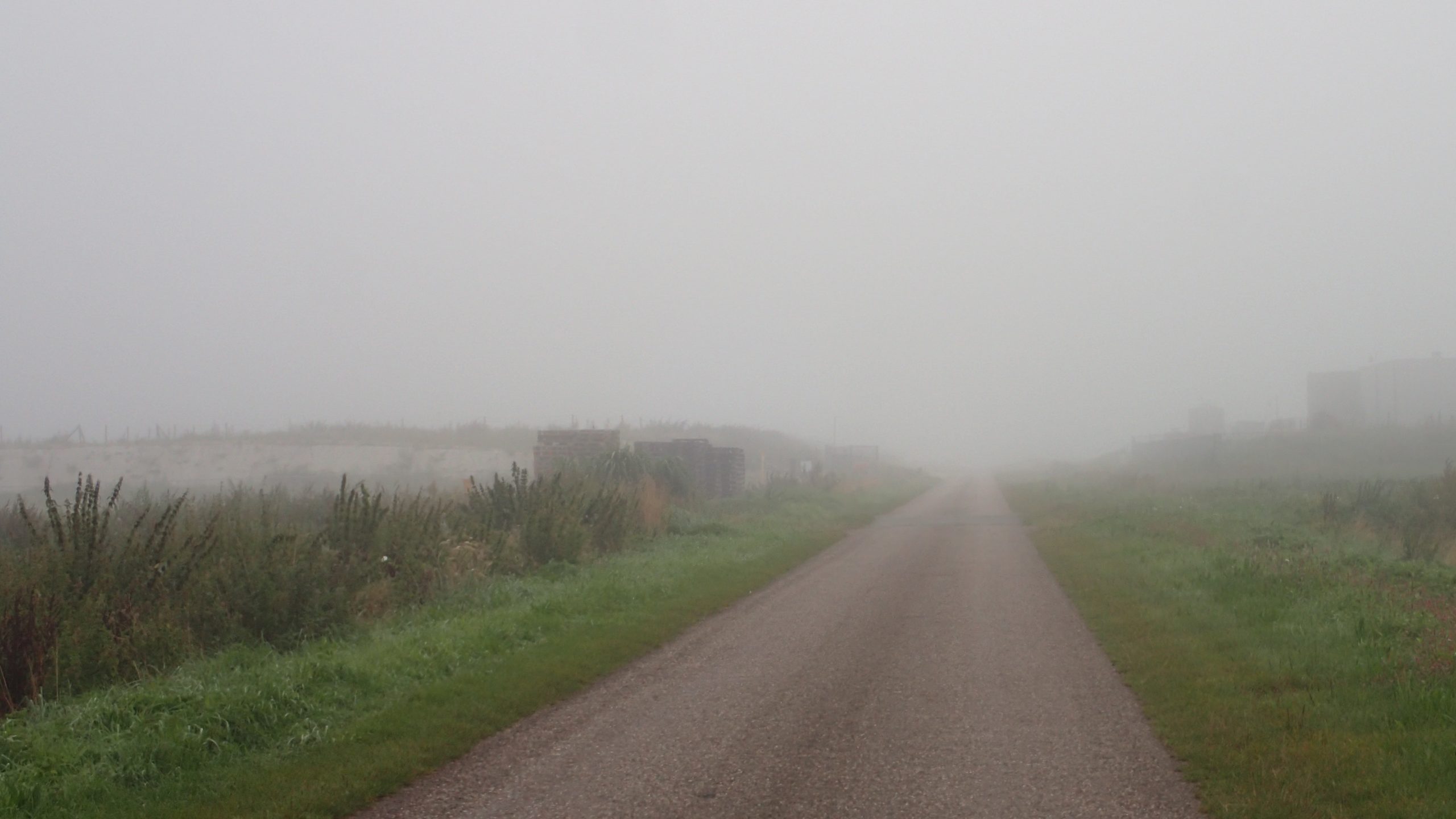 Landschap gehuld in mist