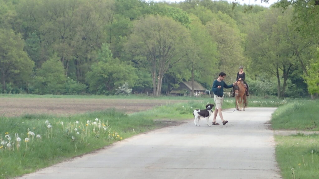 Jonge hond met begeleider op voorgrond, paard met ruiter op de achtergrond.